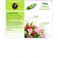 Interflora Interflora est le leader mondial de la vente et de l'expédition de fleurs. Bouquets pour toutes les occasions et service aussi parfait que rodé. Catalogue en ligne. Livraison le lendemain dans le monde entier.