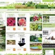 Plantes et Jardins Plantes et Jardins et LE spécialiste des Plantes sur Internet. Découvrez toutes les plantes et des conseils de professionnels. Magazine et catalogue en ligne uniquement. Livraison en France seulement.