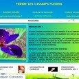 Ferme Les Champs Fleuris Un catalogue de graines de lys et d'iris. On y trouve des lys asiatiques, des lys orienpet, le lys oriental et l'iris siribica.