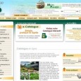Les Graines Baumaux Un catalogue que tous les amateurs de jardinage connaissent bien: les Graines Baumaux. Découvrez les Bomottes, les graines florales et potagères, les plantes aromatiques et officinales.