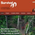 Rempli d'articles provenant surtout d'Afrique, commander des produits de Survival France aide cette organisation humanitaire et les producteurs africains.