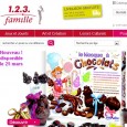 Catalogue 123 Famille : plein de jouets, de jeux et de livres. On y retrouve des jouets pour bébés et des jeux de société, jouet d'apprentissage (musique et langue) et une section à petits prix.