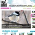 CATALOGUE JARDINS ANIMÉS Catalogue Jardins Animés: jardiner est un loisir qu'on peut rendre encore plus écologique! Jardins Animés propose dans son catalogue (que l'on reçoit par courriel) des produtis sans danger pour l'environnement: pièges à limaces, attrapes-guêpes, outils et matériel de compostage et de recyclage.