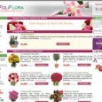Foliflora Foliflora propose de nombreuses fleurs que vous pouvez rapidement faire livrer partout en France. Les compositions sont originales, et les fleurs toujours très fraiches.