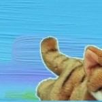 jidep