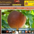 Catalogue Abel Franklin Abel Franklin : La boutique du bien être en ligne. Retrouvez dans ce catalogue des produits des 4 coins du monde d’une qualité exceptionnelle, d’origine naturelle...
